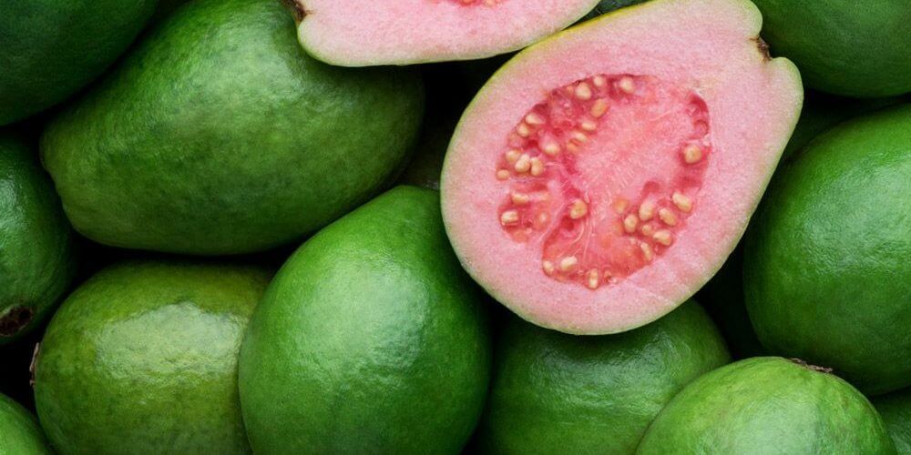 43e8165ffaee1be0d41a7fb02c05ae7c 1000x500