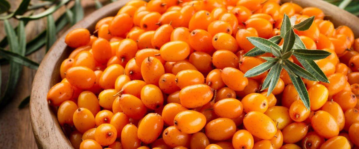 9a9802c0 7bf9 11ed 9b26 956c8ecb607d 1200x500