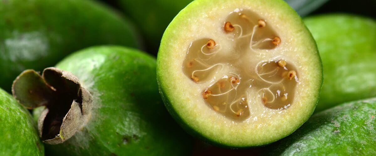 A292557d83af9106 1200x675 jpeg 1200x500