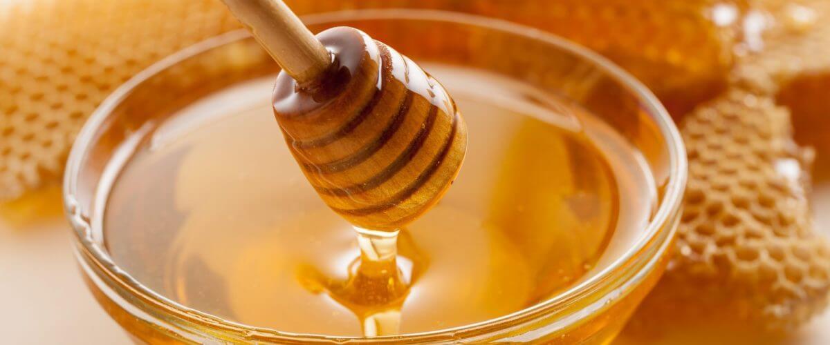 Mozhet li isportitsya 1200x500